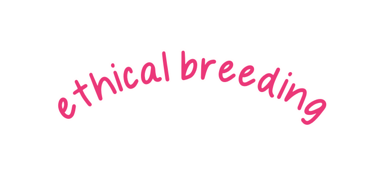 ethical breeding